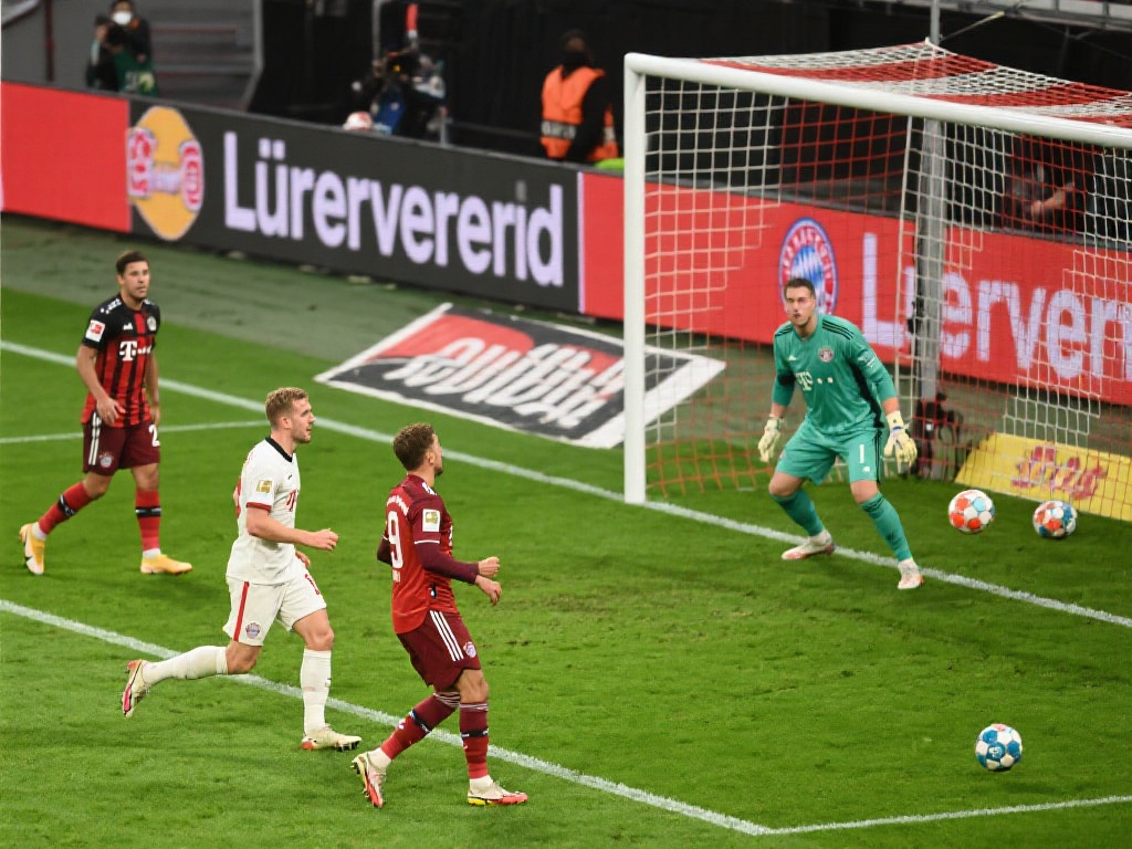 从基础学习 从基础学习