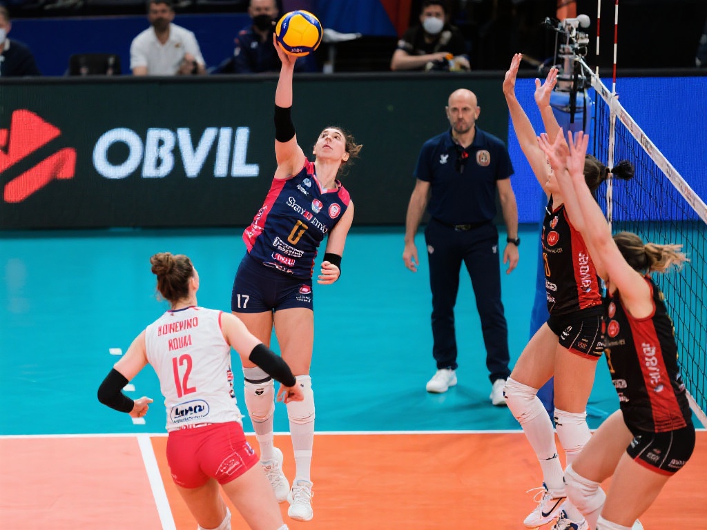 单纯阅读策 单纯阅读策